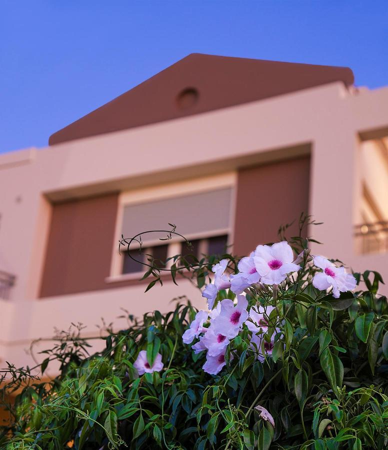 Lotos - Luxury Kounoupidhiana